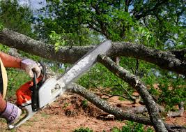 Mulching Services in Dublin, CA